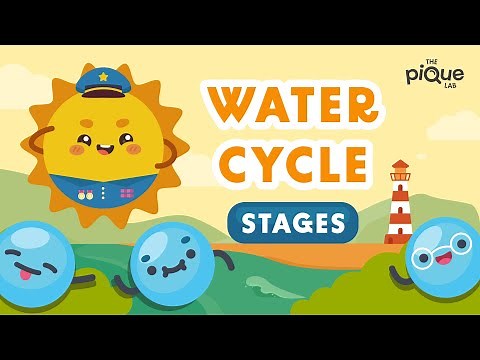 Water Cycle Stages | Primary School Science Animation