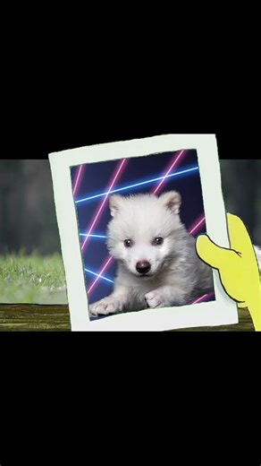 Where Did The Years Go?