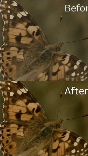 Watch this if you into color grading or new color grading apps #colorgrading #editing #edits