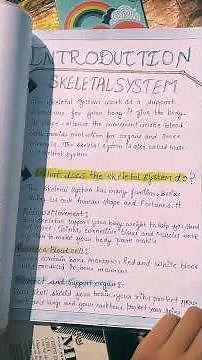 biology project file on the topic of skeletal system.