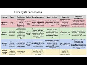 Liver cysts / abscesses