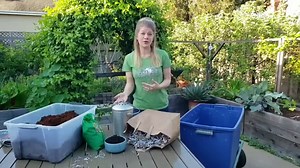 Vermicomposting 101: How to Make a Simple Worm Compost Bin