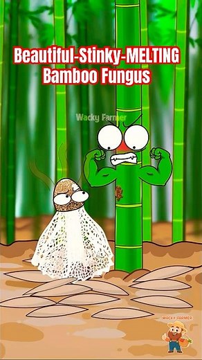 Bamboo and the Beautiful, Stinky, MELTING Bamboo Fungus #bamboo #animation
