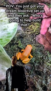 29 reactions | Bioactive set ups can be a great bonding experience!  ______________________________________________ Follow for more Reptile Reels! ______________________________________________ #reptile #lizard #snake #animals #herpetology #frog #turtle | Predators Reptile Center | Facebook