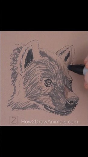 Hyena Sketch (Pen and Markers)