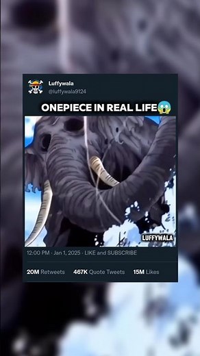 Onepiece in real life😱 | #petshub