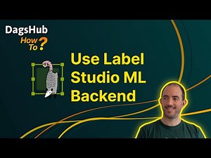 Automate the labeling process with Label Studio and DagsHub