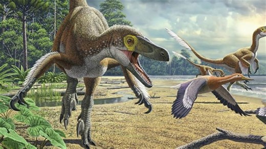 Why did the dinosaurs go extinct?