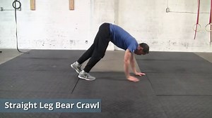 7 Awesome Bear Crawl Exercise Variations
