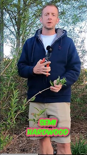 The Ideal Time to Take Cuttings For Propagation