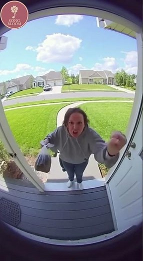 HOA Karen’s Dog Poop Revenge FAILS (Caught on Ring Camera)
