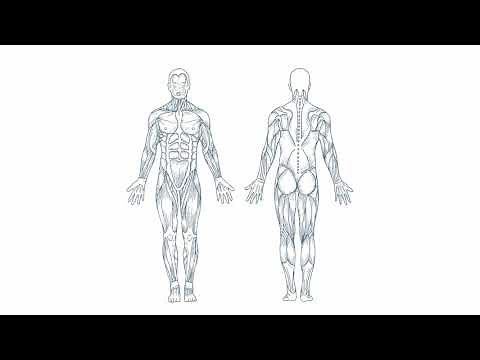 Body Composition Explained: What is (BIA) Bioimpedance Analysis & how it helps measure your health.