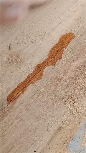 tutorial memperbaiki kayu retak #woodworking #woodscraft #wood #furniture