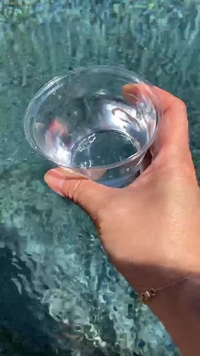 Testing the PH balance in my pool water to see if it’s acidic or alkaline #howto #scienceexperiments #water #alkaline