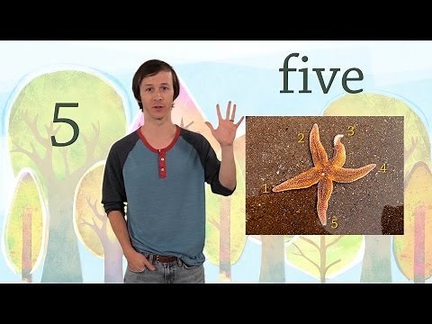 5: The Number Five - Kids Learn to Count Numbers