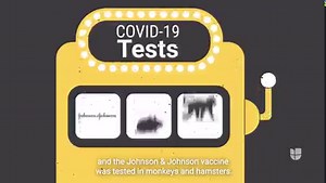 2.8K views · 92 reactions | In this video, FactCheck.org and Univision Noticias teamed up to debunk false claims, spreading on social media, that were made by a state senator in Texas about vaccine safety. #scicheck | FactCheck.org | Facebook
