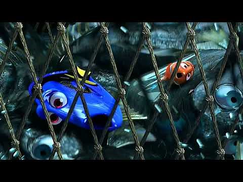 Finding Nemo SWIM DOWN!
