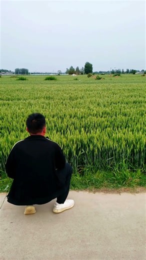 A compilation of amazing card-throwing techniques! #cardthrowing #ChineseKungfu