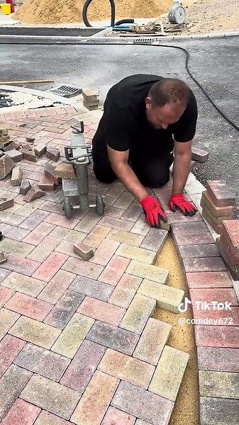 Exploring the World of Smart Bots and AI Trends