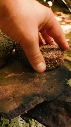 15K views · 230 reactions | Tender steak sizzling on a hot surface, seasoned with spices and care. The sizzle and aroma bring outdoor cooking to life. #Steak #OutdoorCooking #Grilling #Cooking | Cook Loop | Facebook