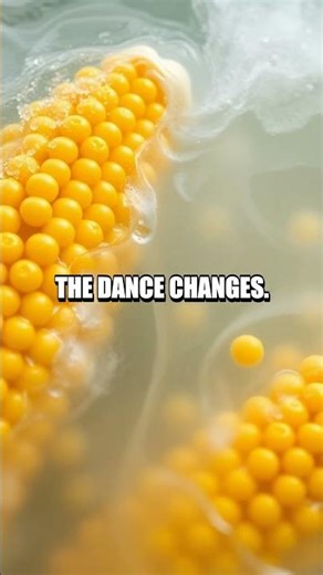 The Dancing Corn Experiment