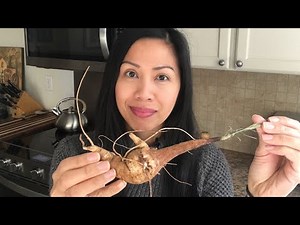 Scarlet Runner Beans Has Edible Roots or Tubers | Trying It Out Roasted