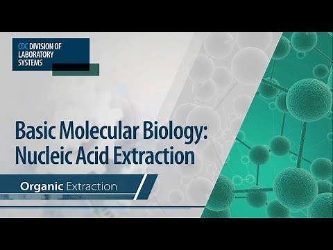 Basic Molecular Biology: Nucleic Acid Extraction – Organic Extraction