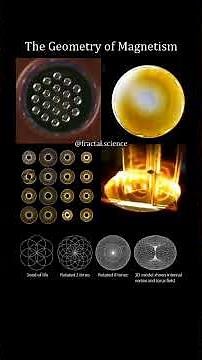 The Toroidal Topography & Dynamics of Electromagnetic Fields