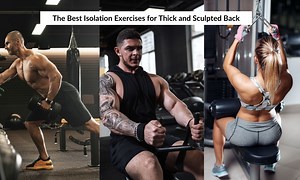 11 Best Isolation Exercises for Back - The Fitness Phantom