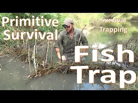 Primitive Fish Trap -Survival Basics- Build and Catch