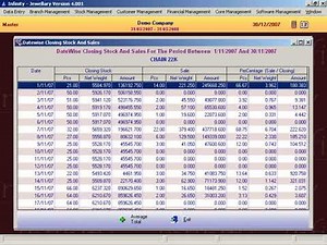 15 MIS Reports Software - English