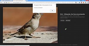 XSS vulnerability in Google image search