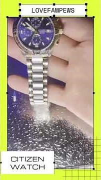 Citizen Chronograph WR100 Setup