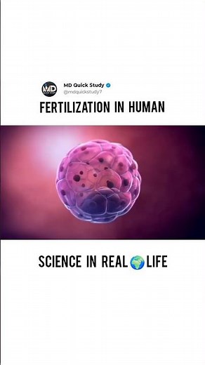 What Happens During FERTILIZATION In Humans #biology #fertilization #sperm #ovule