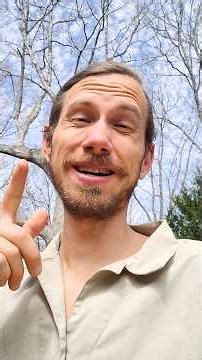 THESE Chevy Truck Fuse Boxes OLD?