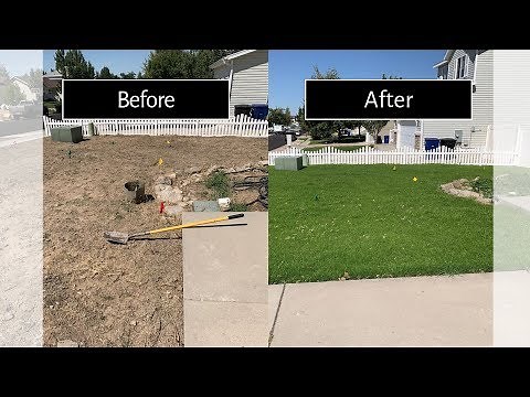 How To Plant Grass Seed FAST SUMMER / FALL over seeding Lawn renovation (part 1 of 2)