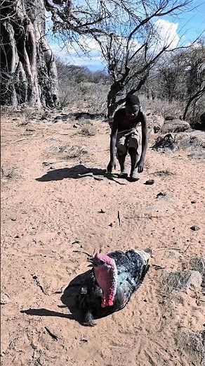 When the Hadza catch birds #comedy #usa #africanculture #africa #hadzatribe #comedy #africa