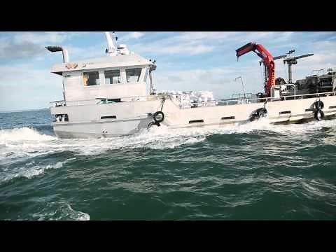 New Zealand Greenshell mussel farming in the Hauraki Gulf