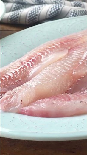 What’s A Haddock? Fish Facts You Need To Know!