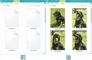 CopyTrans、Windows環境で、iOS11/macOS High SierraのHEIFファイルを表示可能にするプラグイン「CopyTrans HEIC for Windows」をリリース | Windows | Mac OTAKARA