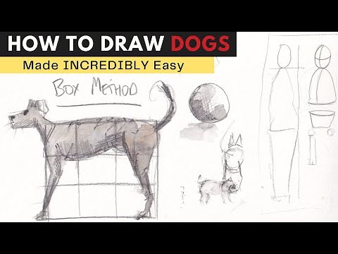 How to Draw a Dog Sketch, Step by Step - The Easiest Way