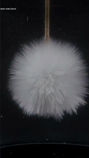 Instant Freezing: The Science Behind Sodium Acetate and Supercooled Water Reaction #science