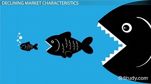 Declining Markets: Characteristics & Strategies for Companies
