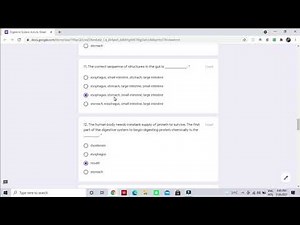 DIGESTIVE SYSTEM| ACTIVITY SHEET| MODULE 1|ANSWER KEY|