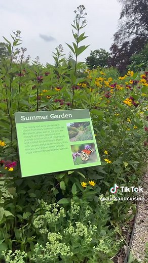 Exploring the Botanical Gardens at Roger Williams in Providence