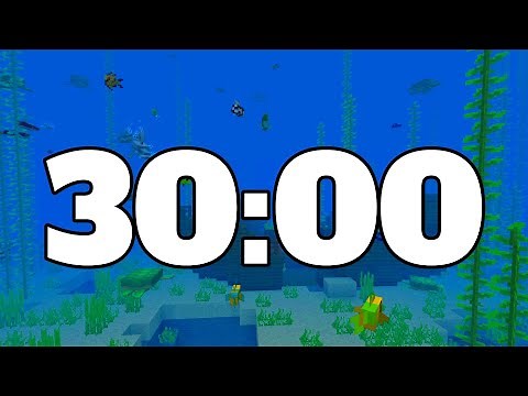 30 MINUTE TIMER. MINECRAFT TIMER.