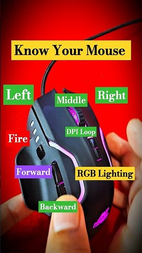 Know Your Computer Mouse |