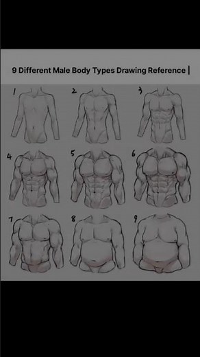 9 Different Male Body Types Drawing Reference | Anatomy Guide