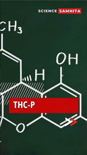 What is THCP? Exploring its Potential Benefits #thc #canabis