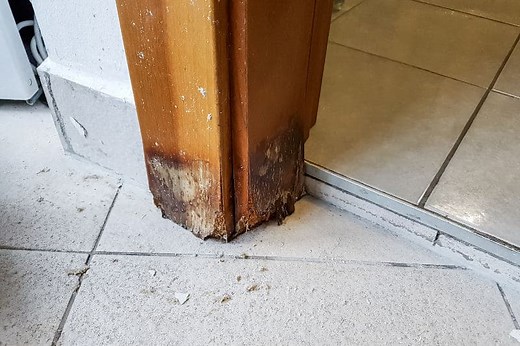 Fixing a Rotted Door Frame: Cost Breakdown and Tips - HomelyVille